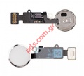 Flex cable (OEM) iPhone 7 PLUS (5.5) Home Silver white with flex cable.