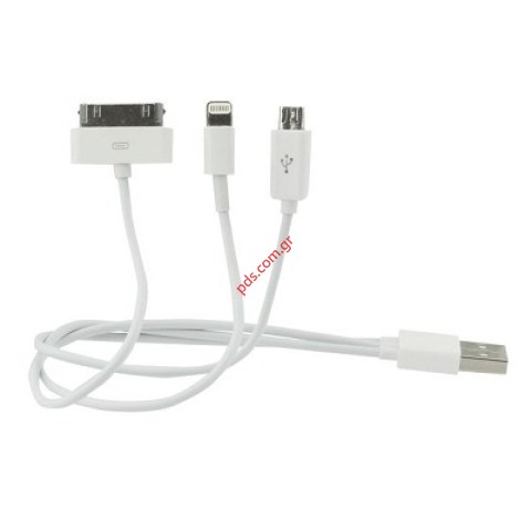 Πολυφορτιστής σπιτιού σετ 4 σε 1 για iPhone 3G/4/5/Micro USB 1A