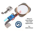   Home (OEM) Apple iPhone 6 Gold    flex cable Button switch (         ) 